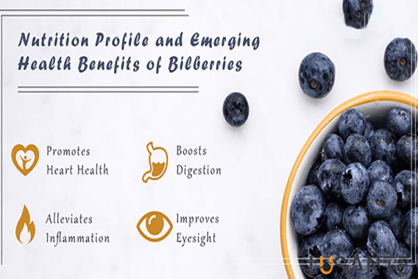 lusante; Best Micronutrients for eye health;vBilberry and its eye health benefits