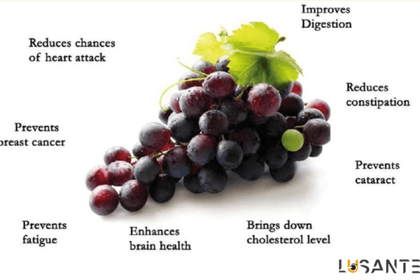 lusante; Best Micronutrients for eye health;Grape seed extract and its eye health benefits