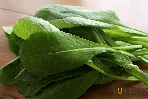 How to supply vitamin C needed by the body_Spinach ; lusante