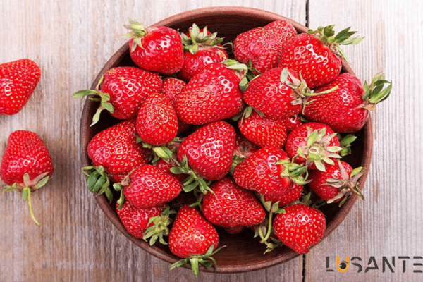 How to supply vitamin C needed by the body_Strawberry ; lusante