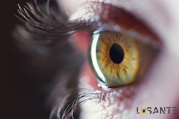 Diabetes And Vision loss; Reducing the risk of eye problems related to diabetes; lusante.com