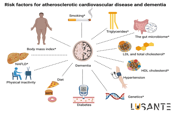 Atherosclerosis and Cardiovascular Risk Factors; lusante.com